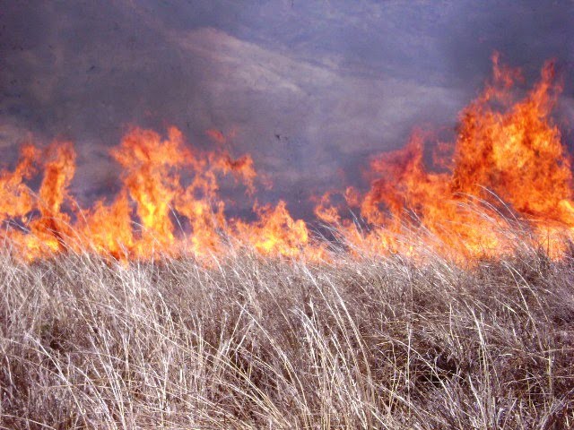 Autoridades de los tres niveles de gobierno se coordinan para enfrentar la temporada de incendios. Autoridades de los tres niveles de gobierno se coordinan para enfrentar la temporada de incendios.