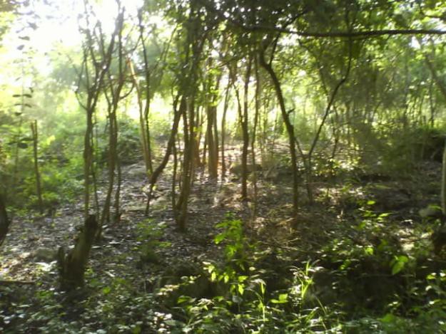 Halachó: Piden baños para evitar fecalismo al aire libre en comisarías de Halachó Halachó: Piden baños para evitar fecalismo al aire libre en comisarías de Halachó