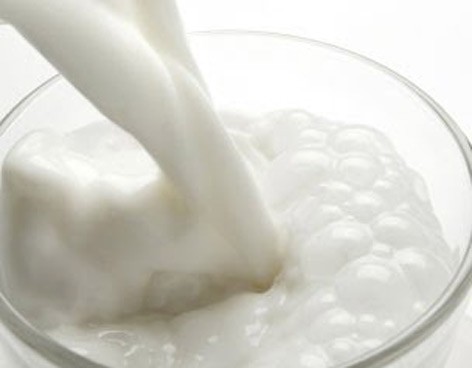 En los últimos años se ha desplomado la producción de leche en Yucatán En los últimos años se ha desplomado la producción de leche en Yucatán