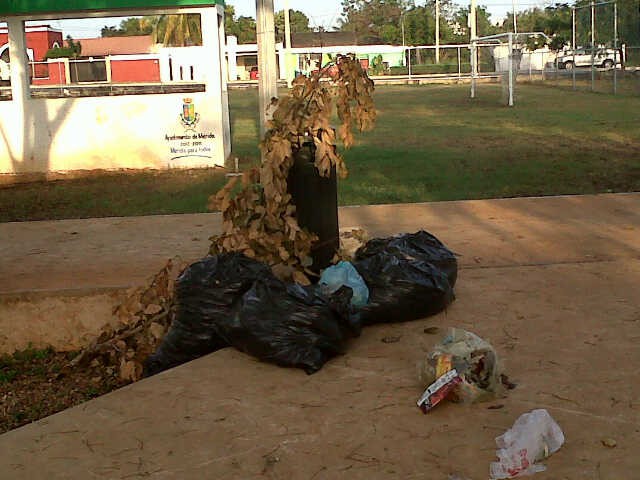Basura vuelva a causar enojo en los meridanos Basura vuelva a causar enojo en los meridanos