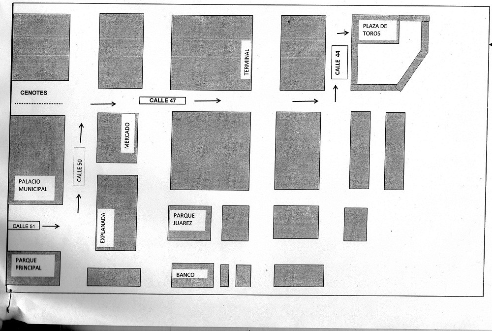TIZIMÍN: Coordinación vial para trasladar el ceibo por las calles.\r\n TIZIMÍN: Coordinación vial para trasladar el ceibo por las calles.\r\n