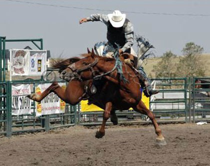 TIZIMÍN: Rodeo internacional durante la Feria. TIZIMÍN: Rodeo internacional durante la Feria.