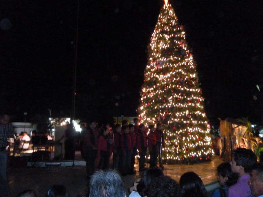 Tizimín: Encienden el árbol navideño.\r\n\r\n Tizimín: Encienden el árbol navideño.\r\n\r\n