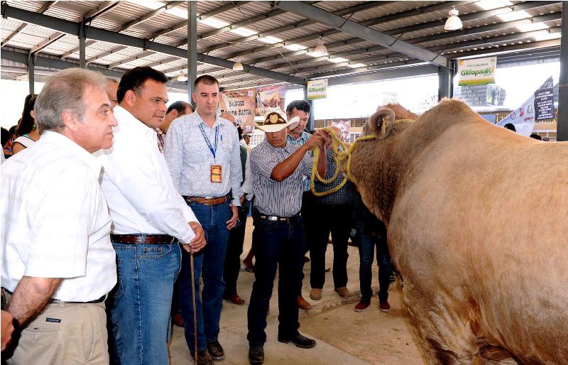 Con el incremento del fondo ixmatkuil- reyes se apoya a la ganadería local Con el incremento del fondo ixmatkuil- reyes se apoya a la ganadería local