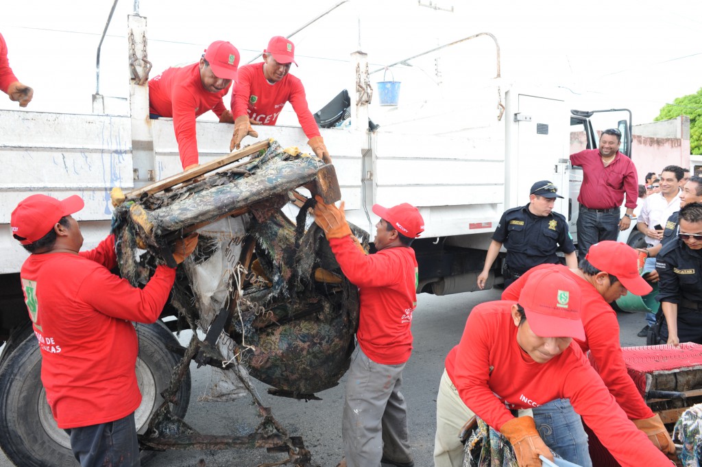 Celestún: 17 toneladas recolectadas en Celestún este fin de semana pasado.
