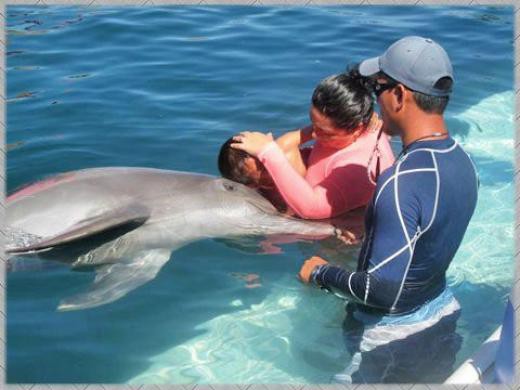 Si habrá delfinoterapia en la Feria X´matkuil 2012: R.Z.B Si habrá delfinoterapia en la Feria X´matkuil 2012: R.Z.B