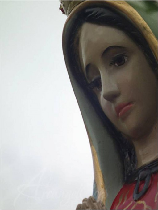 Bajan la imagen de la virgen de Guadalupe en San Cristóbal Bajan la imagen de la virgen de Guadalupe en San Cristóbal