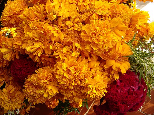 Vendedores de flores inconformes con el Ayuntamiento Vendedores de flores inconformes con el Ayuntamiento