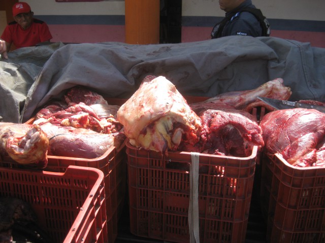Tizimín: Incineran 182 kilos de carne de res no apta para comer.\r\n Tizimín: Incineran 182 kilos de carne de res no apta para comer.\r\n