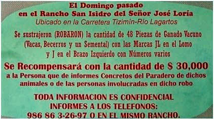 Tizimín: Recompensa por información concreta. Tizimín: Recompensa por información concreta.