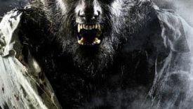 El hombre salvaje con voz de trueno de los montes de Yucatán El hombre salvaje con voz de trueno de los montes de Yucatán