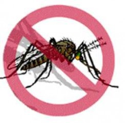 El DIF Yucatán se suma a la campaña contra el dengue El DIF Yucatán se suma a la campaña contra el dengue