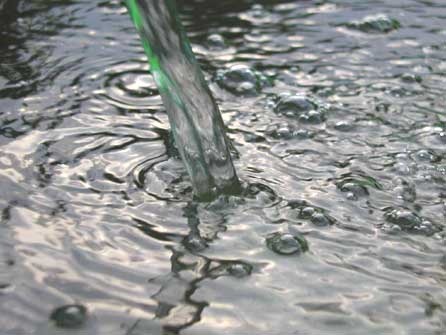 Aguas verdes y putrefacción en el mercado de Chuburná Aguas verdes y putrefacción en el mercado de Chuburná