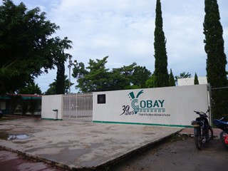 Tizimín: Alumnos del COBAY sin libros. Tizimín: Alumnos del COBAY sin libros.