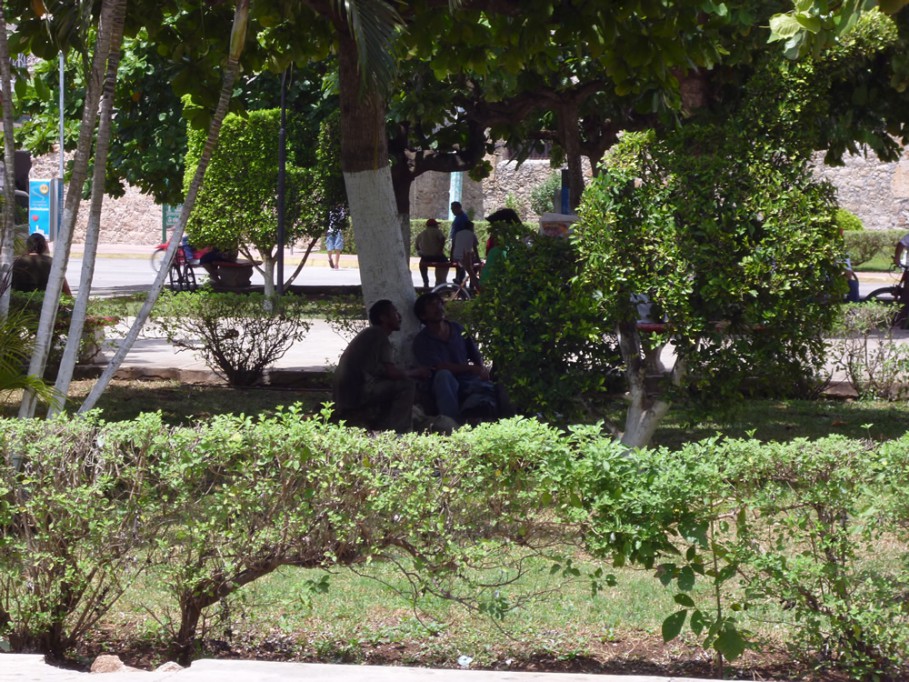 Tizimín: Notorio el número de vagabundos en la ciudad. Tizimín: Notorio el número de vagabundos en la ciudad.