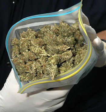 Consumo de marihuana antes de los 18 años de edad daña la inteligencia: estudio Consumo de marihuana antes de los 18 años de edad daña la inteligencia: estudio