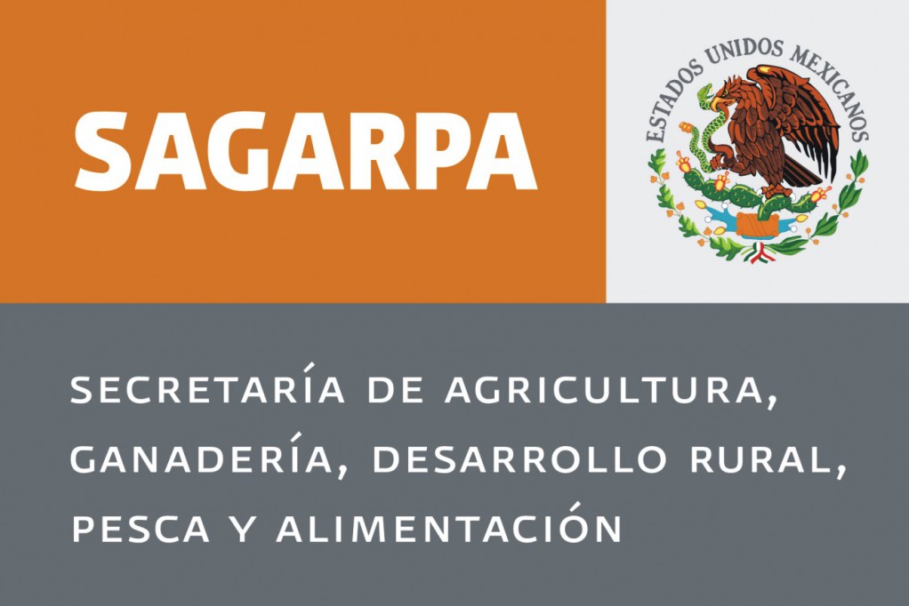 Confía Sagarpa que bajará precio del huevo Confía Sagarpa que bajará precio del huevo
