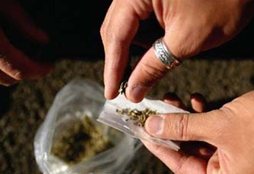 La adicción a las drogas va ganando más terreno en los jóvenes yucatecos. La adicción a las drogas va ganando más terreno en los jóvenes yucatecos.