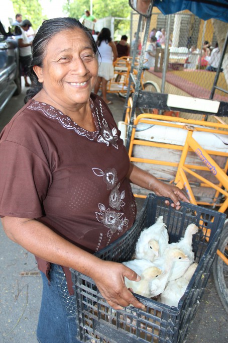 Pavos de engorda para familias meridanas Pavos de engorda para familias meridanas