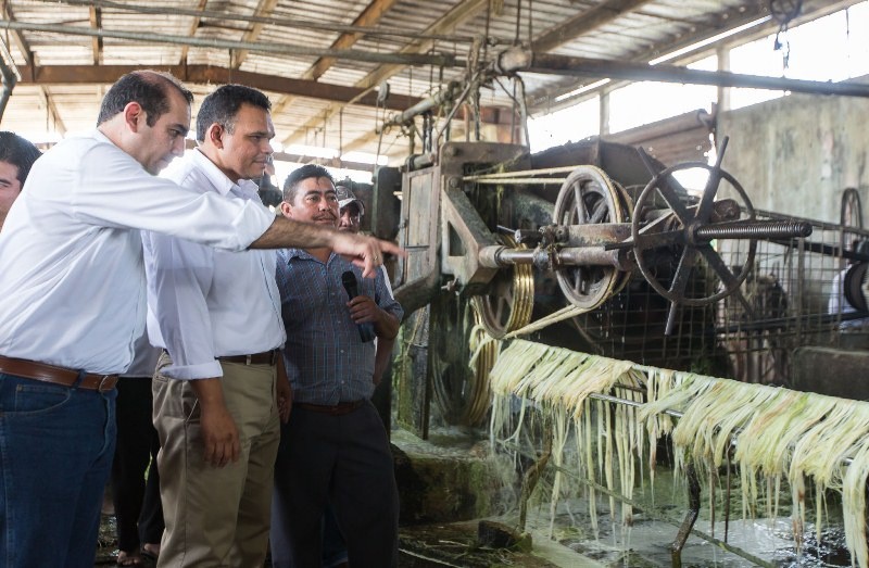 Entrega el Gobernador Rolando Zapata Bello estímulos para nuevas siembras Entrega el Gobernador Rolando Zapata Bello estímulos para nuevas siembras