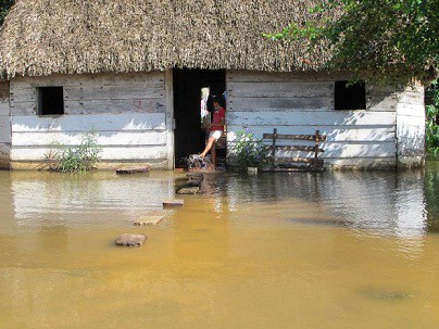 TIZIMIN: Se inunda de nuevo Santa Rosa y Anexas. TIZIMIN: Se inunda de nuevo Santa Rosa y Anexas.